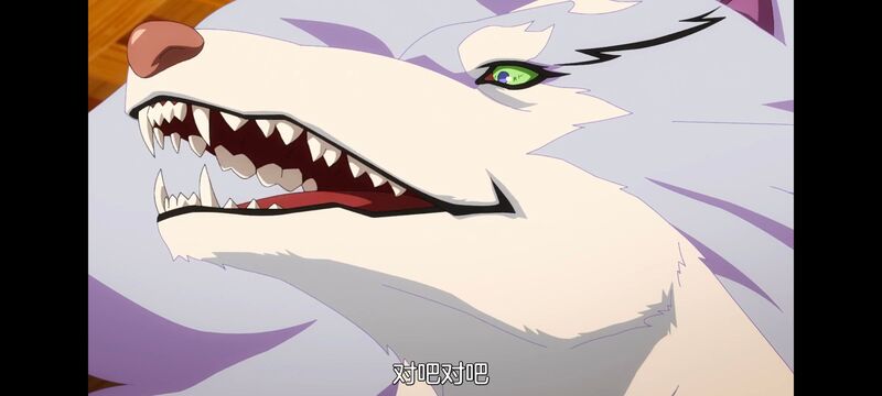 网购技能开启异世界美食之旅,拥有超常技能的异世界流浪美食家,动画,动漫,番剧,ACG