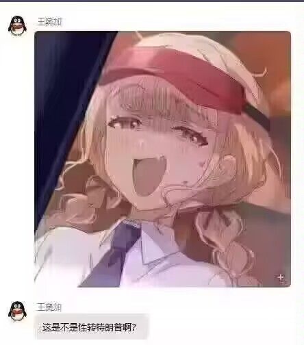 弔图,meme,涩图