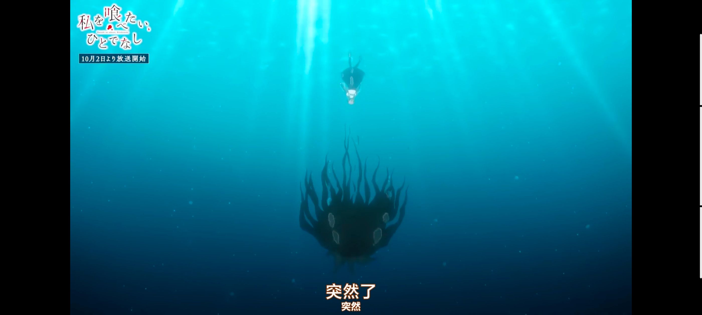 /static/5881e0e2a91878465c996f28120f1be4a3b8f350038f0559fa26257953f6c839.jpg