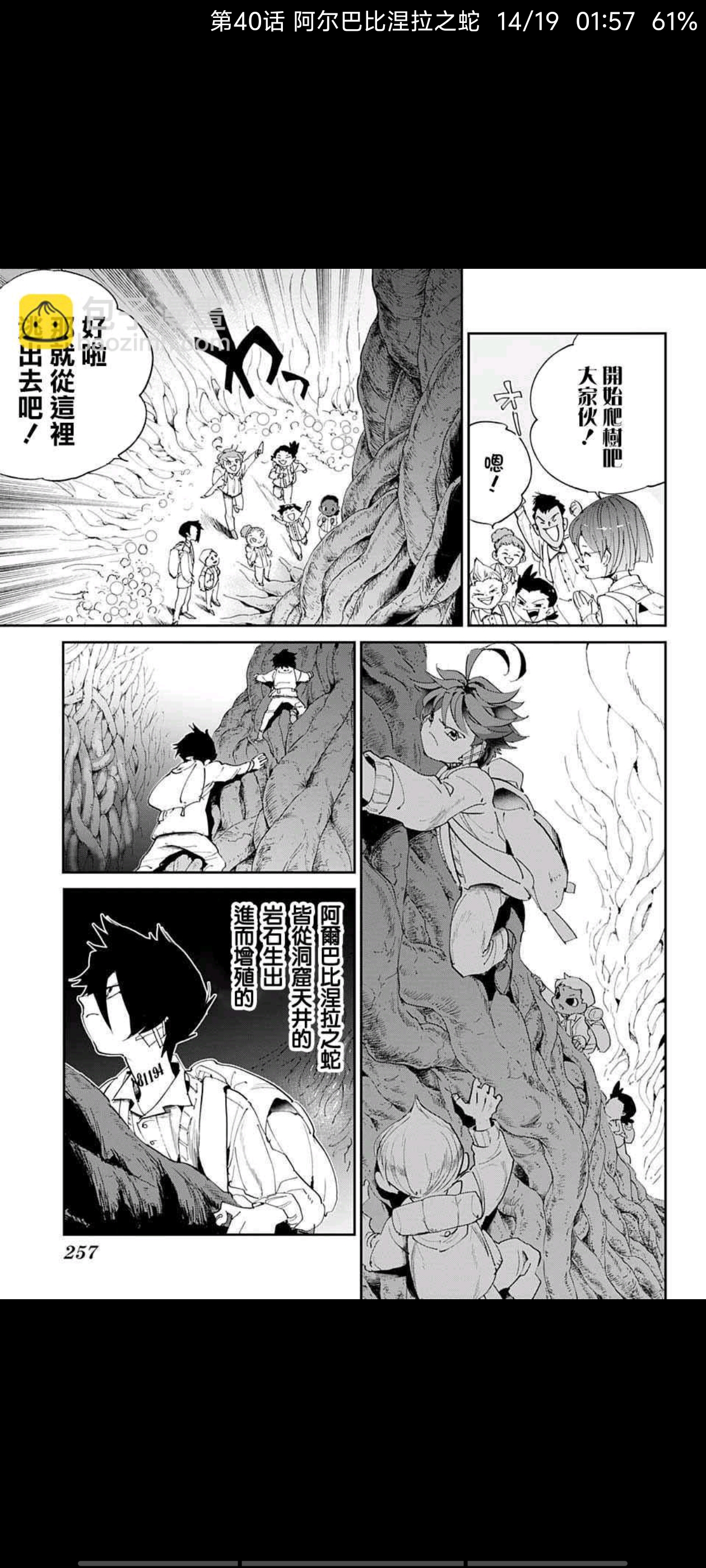 约定的梦幻岛,漫画,动漫,ACG