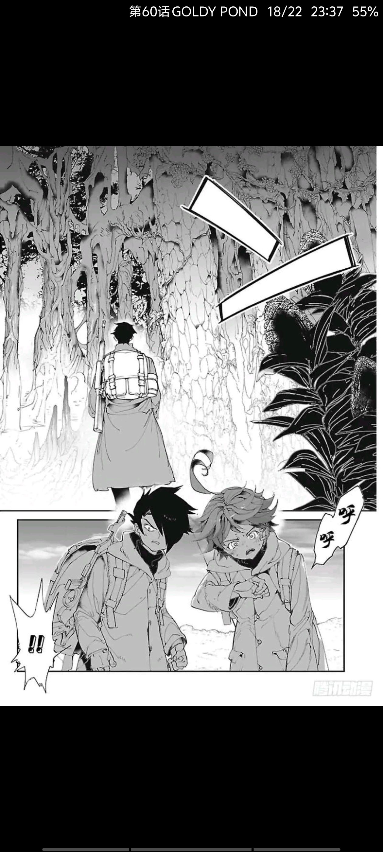 约定的梦幻岛,动漫,漫画,ACG
