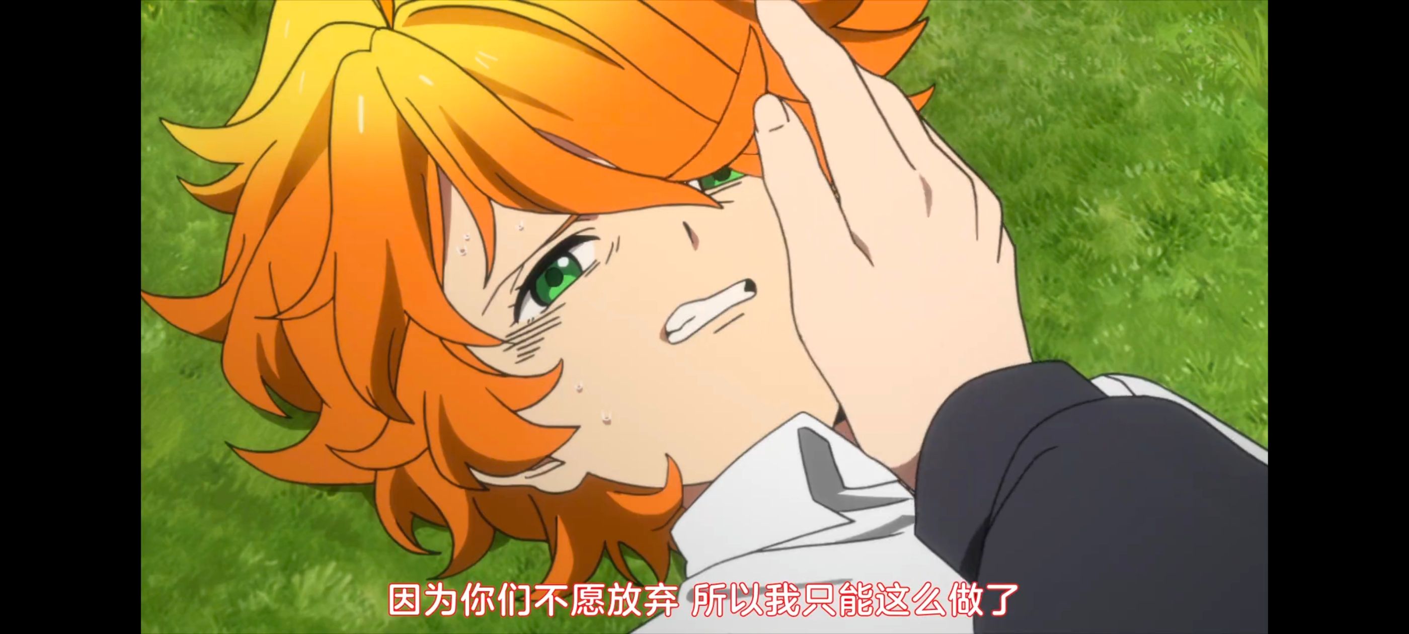 约定的梦幻岛,动画,动漫,番剧,二次元,ACG