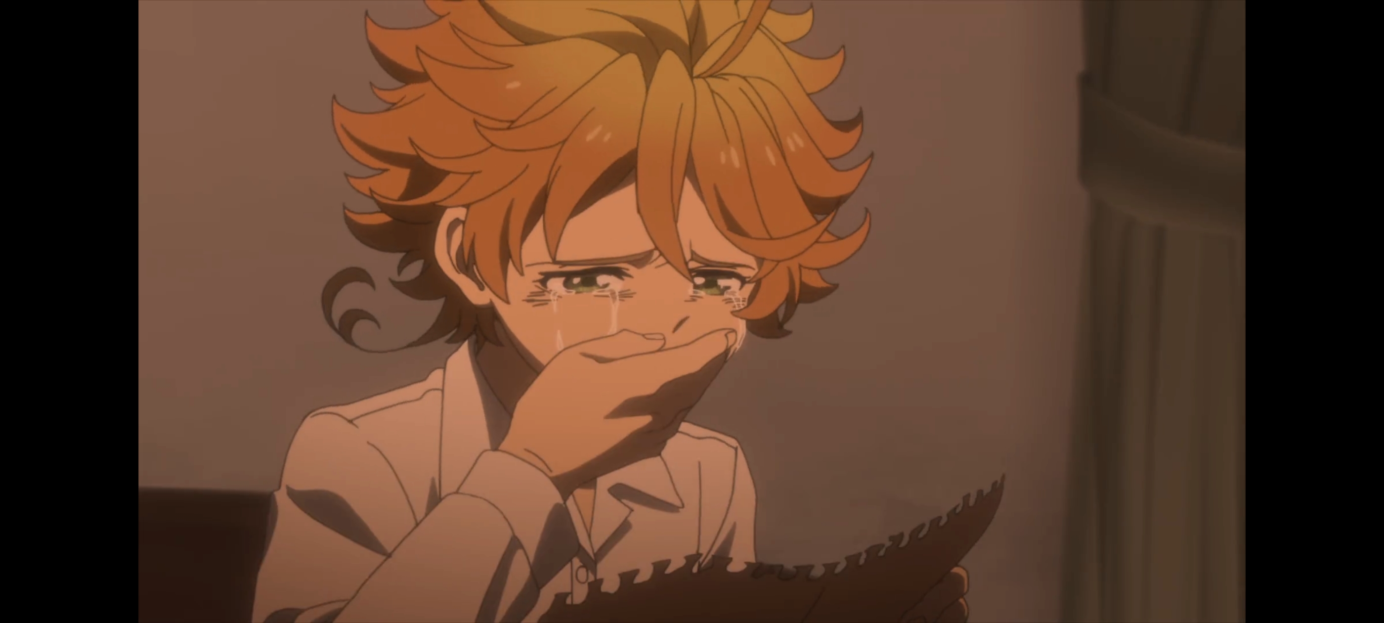 约定的梦幻岛,动画,动漫,番剧,二次元,ACG