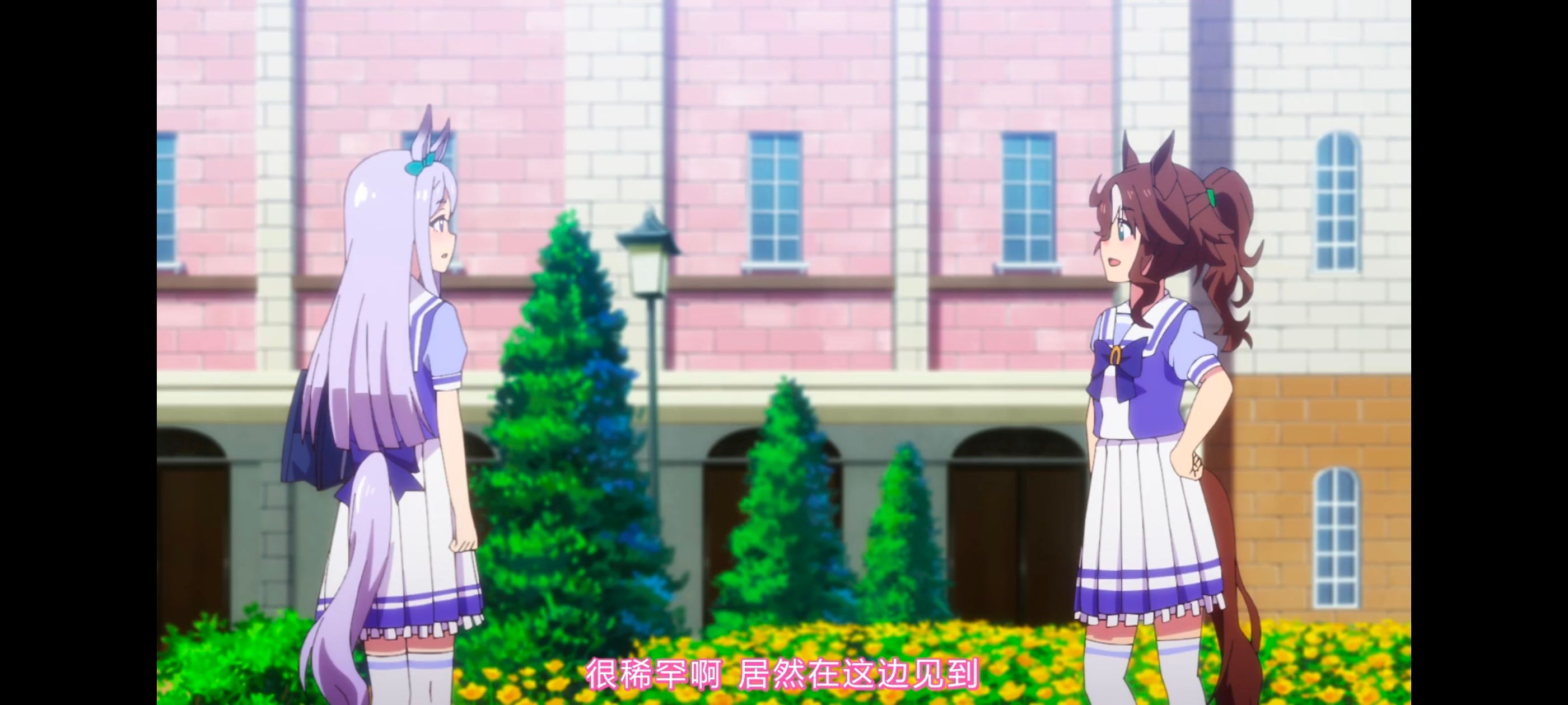 赛马娘,赛马娘PrettyDreby,赛马娘第二季,动画,动漫,番剧,二次元,ACG