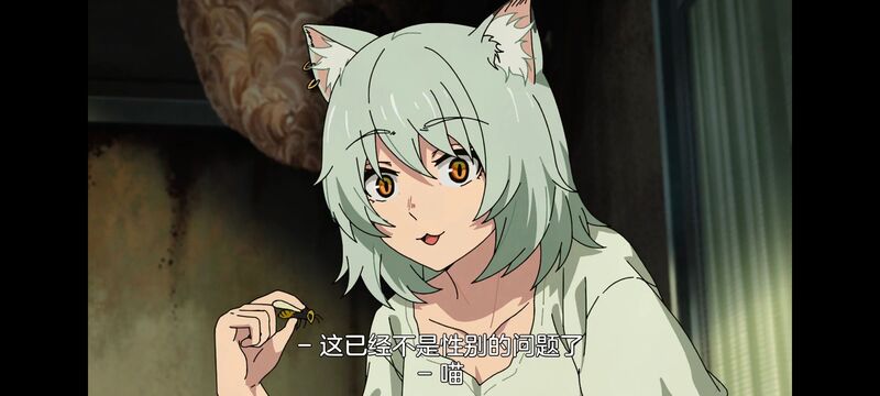 尼古喵喵,雅尼猫,动画,动漫,番剧,二次元,日漫,ACG