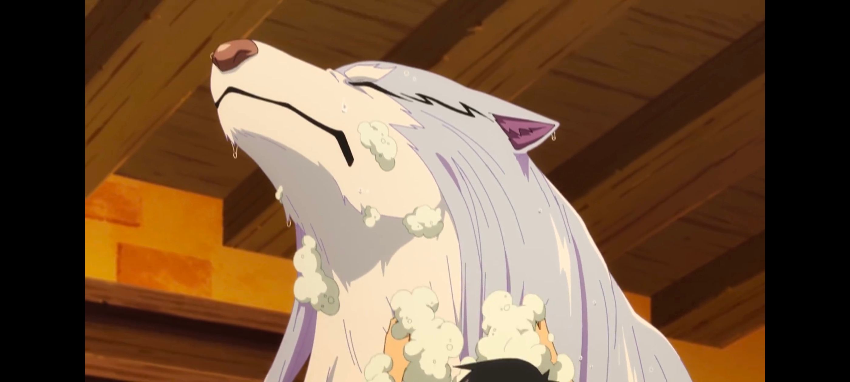 网购技能开启异世界美食之旅,拥有超常技能的异世界流浪美食家,动画,动漫,番剧,ACG