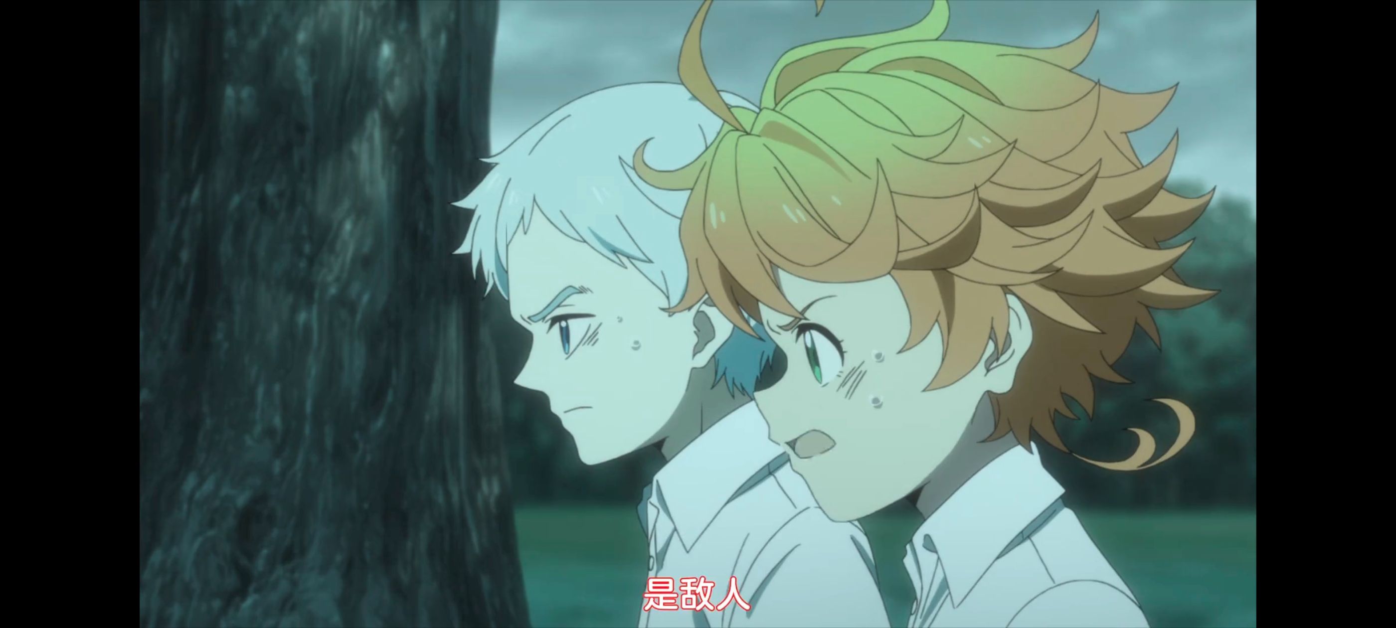 约定的梦幻岛,动画,动漫,番剧,ACG