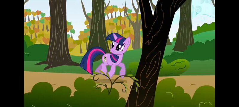 小马宝莉,小马宝莉友谊魔法,彩虹小马,我的小马驹,动画,动漫,番剧,ACG