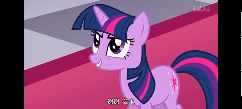 小马宝莉,小马宝莉友谊魔法,彩虹小马,我的小马驹,动画,动漫,番剧,ACG