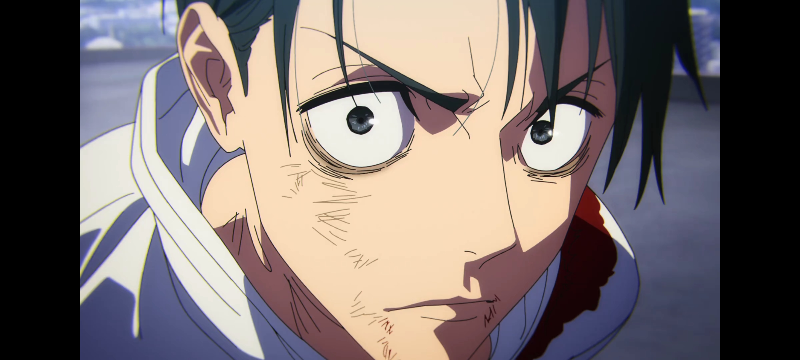 咒术回战,咒术回战死灭回游,动画,动漫,番剧,二次元,ACG