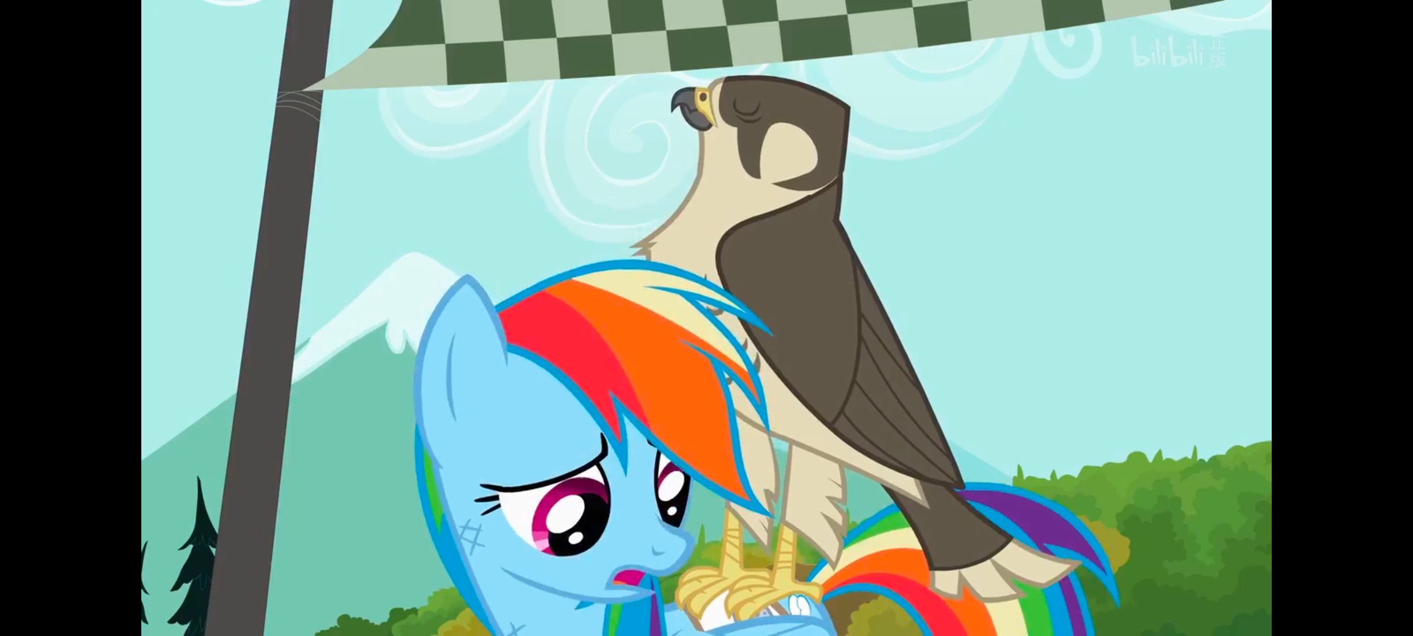 小马宝莉,彩虹小马,我的小马驹,动画,动漫,番剧,二次元,ACG