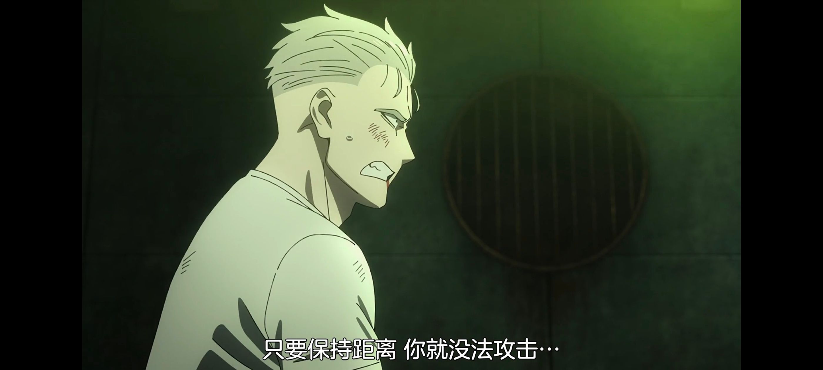 间谍过家家,SPYFAMILY,动画,动漫,番剧,ACG