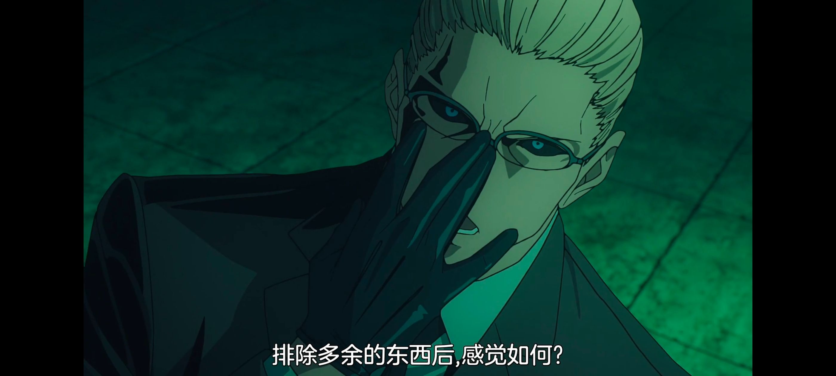 命运奇异赝品,FatestrangeFake,动画,动漫,番剧,ACG