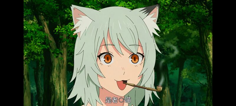 尼古喵喵,雅尼猫,动画,动漫,番剧,日漫,二次元,ACG