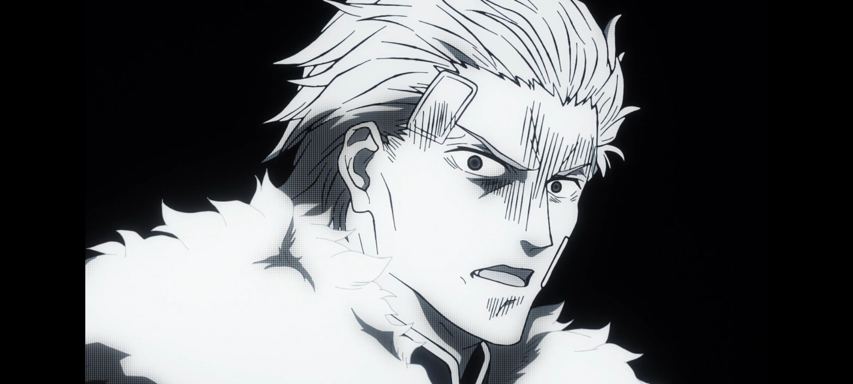 命运奇异赝品,FatestrangeFake,动画,动漫,番剧,ACG