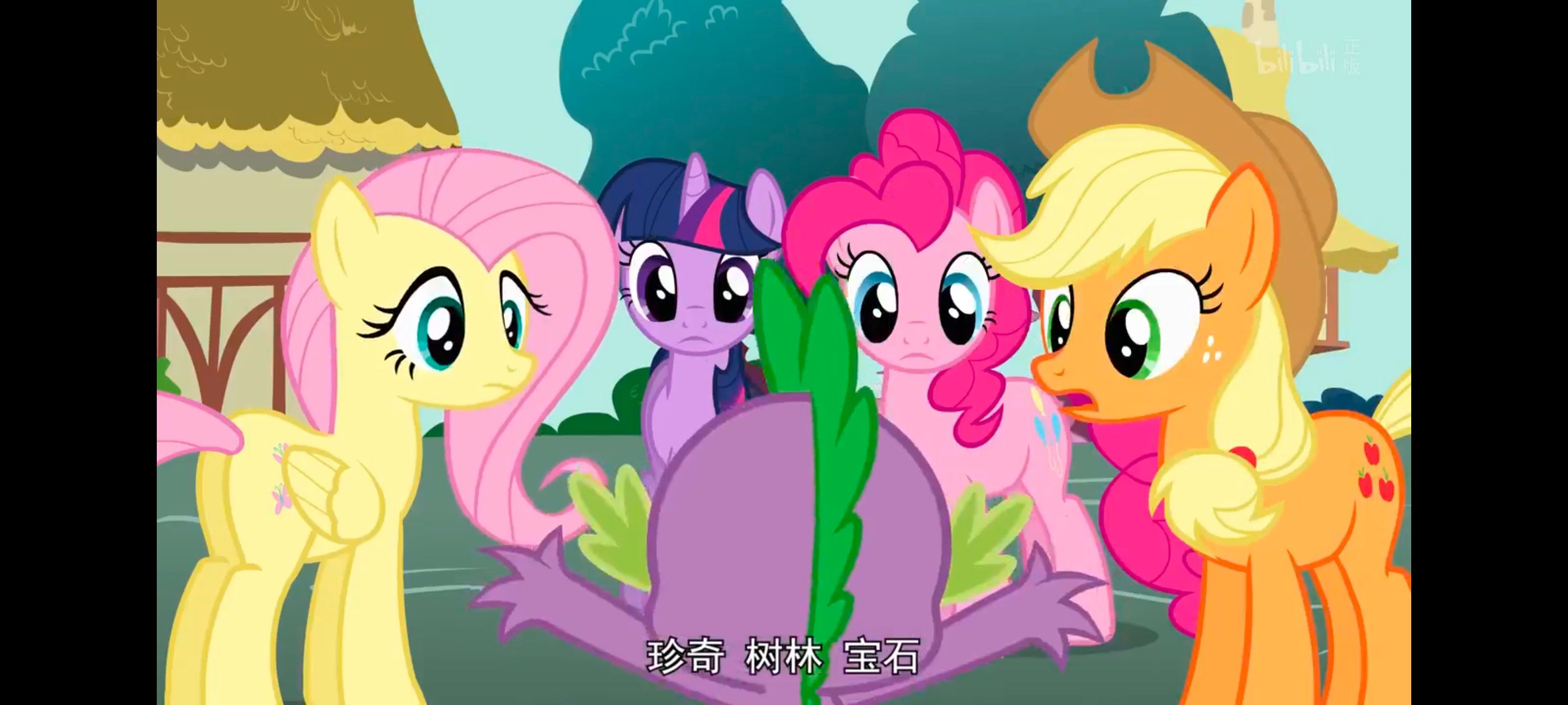 彩虹小马,小马宝莉,我的小马驹,小马宝莉友谊魔法,动画,动漫,番剧,ACG