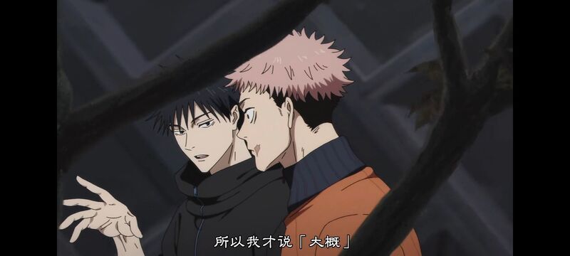 咒术回战,咒术回战死灭回游,动画,动漫,番剧,ACG