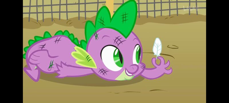 小马宝莉,彩虹小马,我的小马驹,动画,动漫,番剧,ACG,小马宝莉友谊魔法