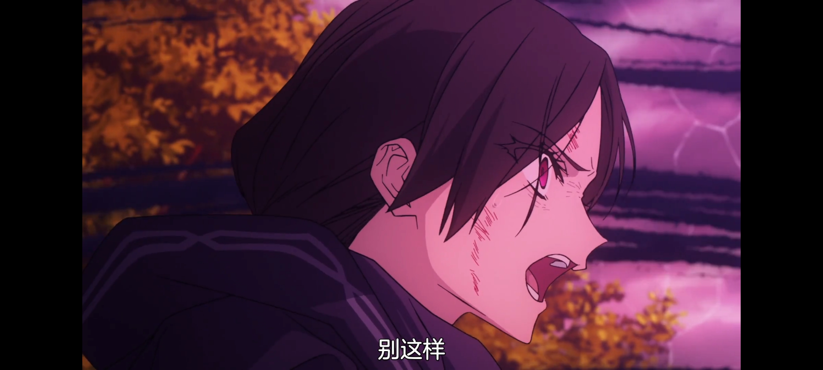 FATE,命运奇异赝品,FatestrangeFake,动画,动漫,番剧,二次元,ACG