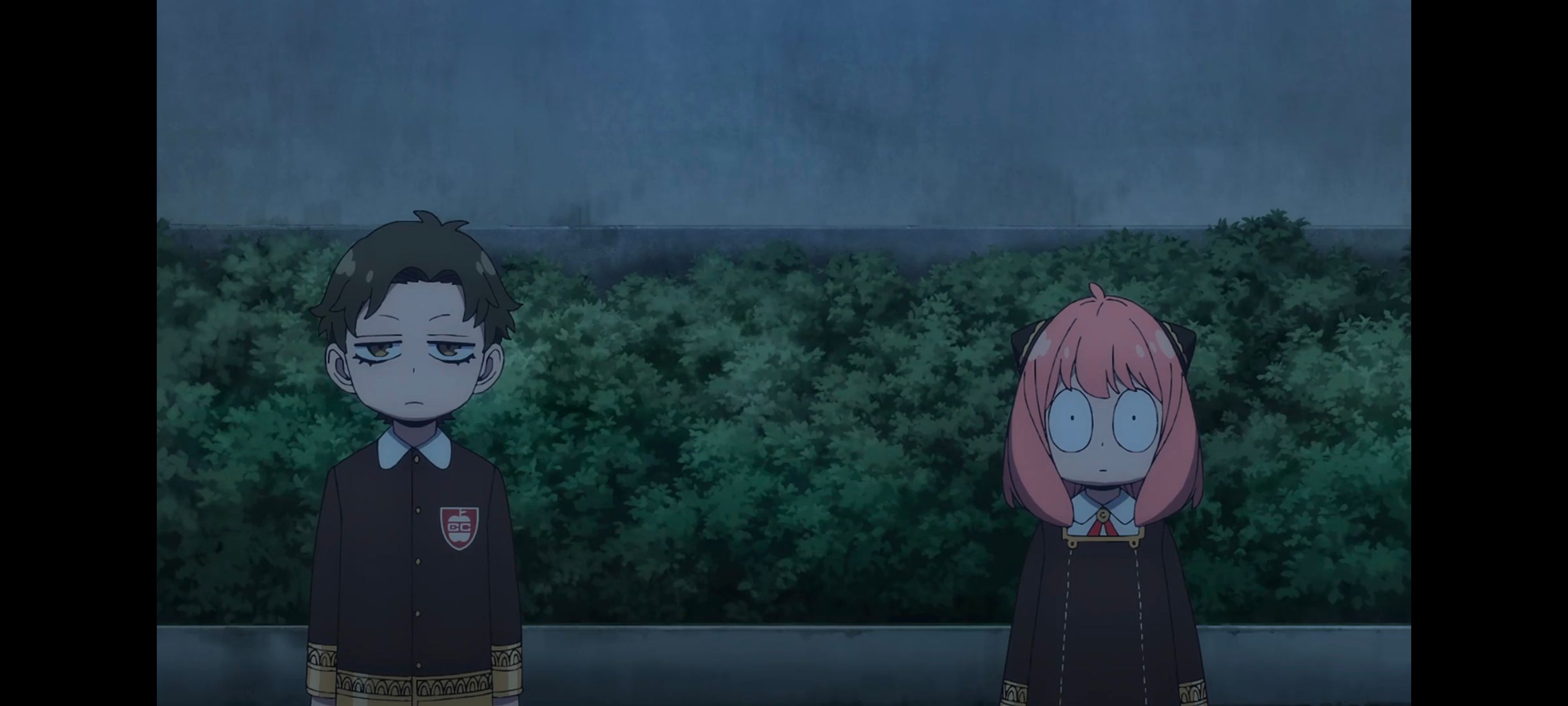 间谍过家家,SPYFAMILY,动画,动漫,番剧,ACG