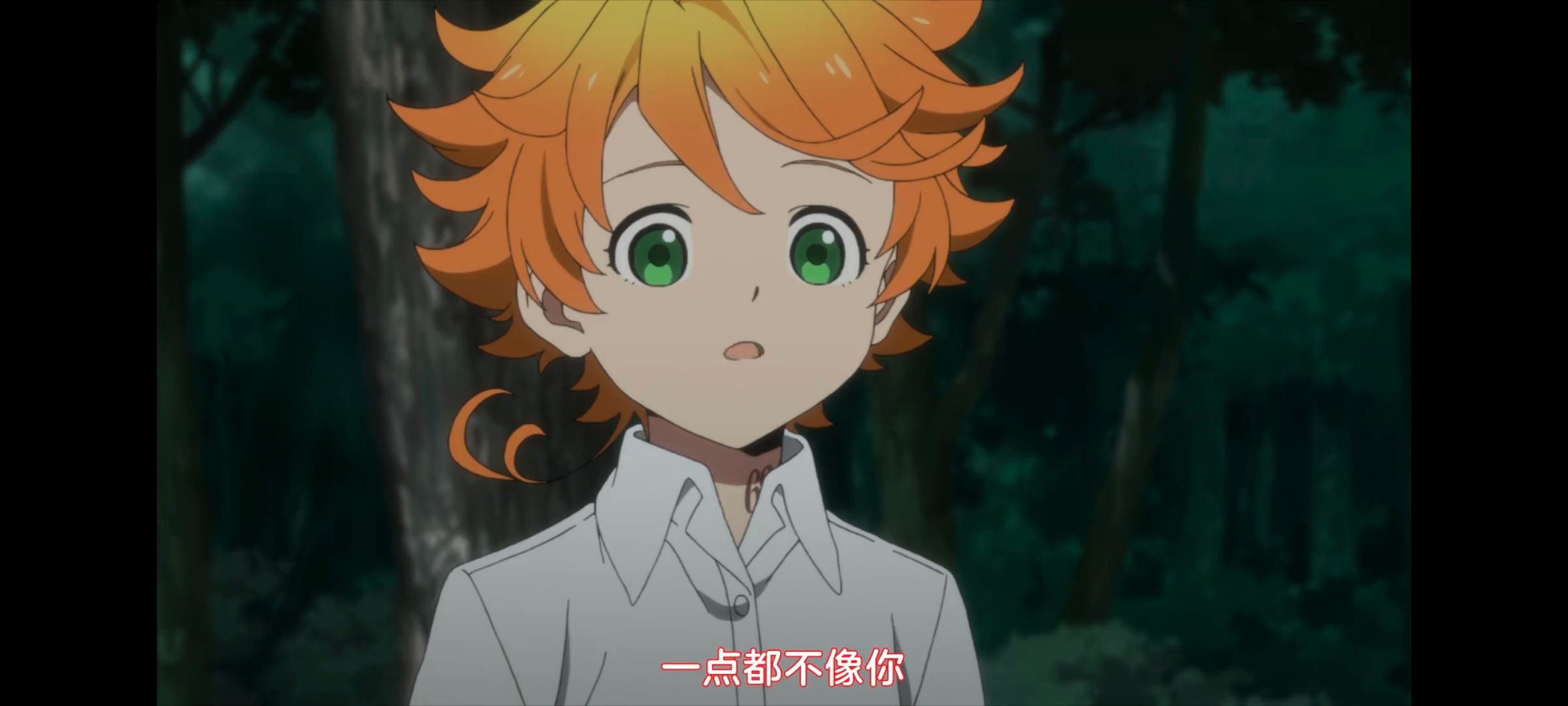 约定的梦幻岛,动画,动漫,番剧,ACG