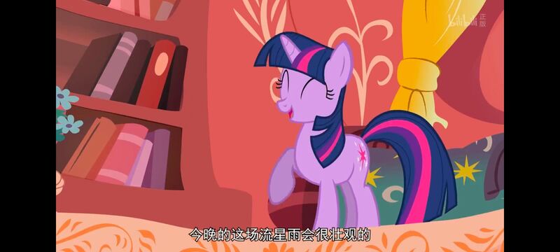 小马宝莉,彩虹小马,我的小马驹,动画,动漫,番剧,ACG,小马宝莉友谊魔法