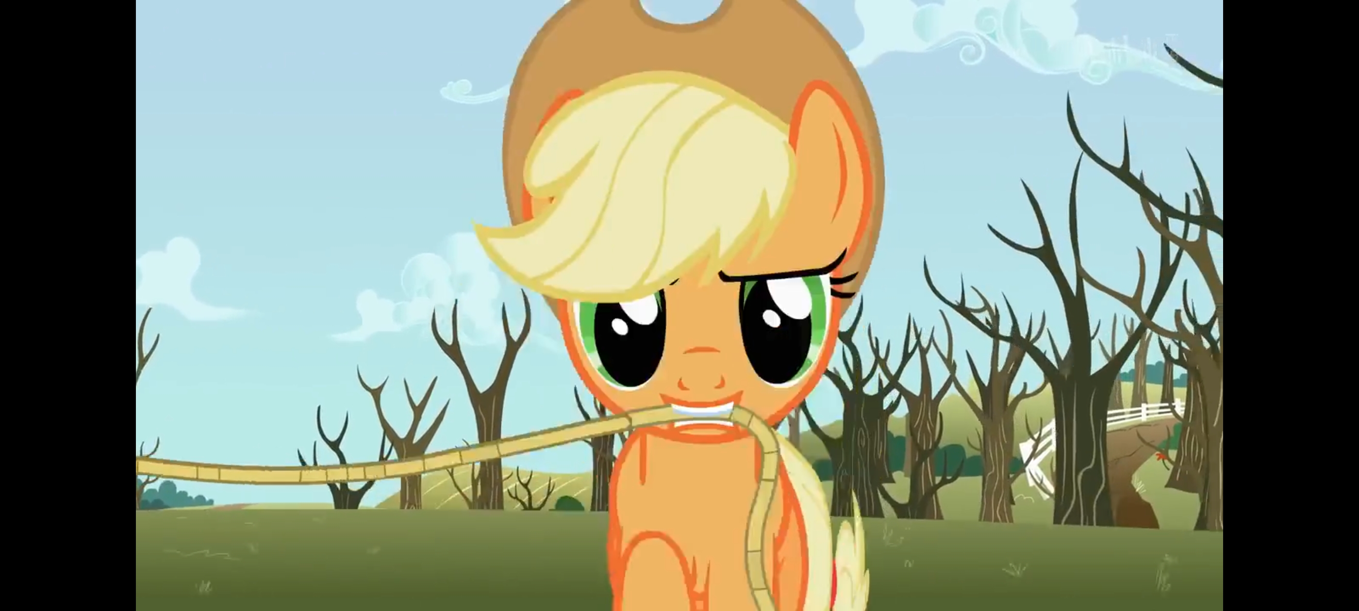 小马宝莉,彩虹小马,我的小马驹,动画,动漫,番剧,二次元,ACG