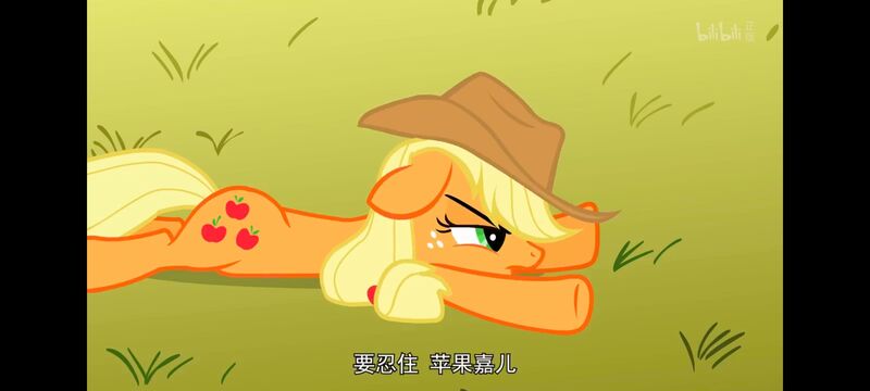 小马宝莉,小马宝莉友谊魔法,彩虹小马,我的小马驹,动画,动漫,番剧,ACG