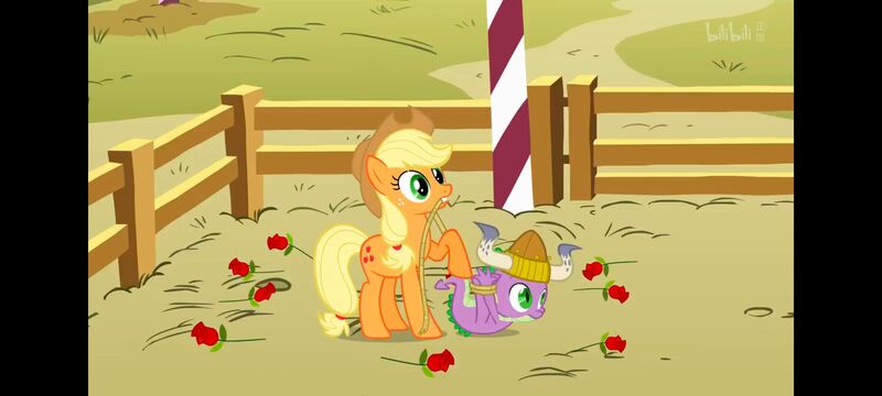 小马宝莉,小马宝莉友谊魔法,彩虹小马,我的小马驹,动画,动漫,番剧,ACG