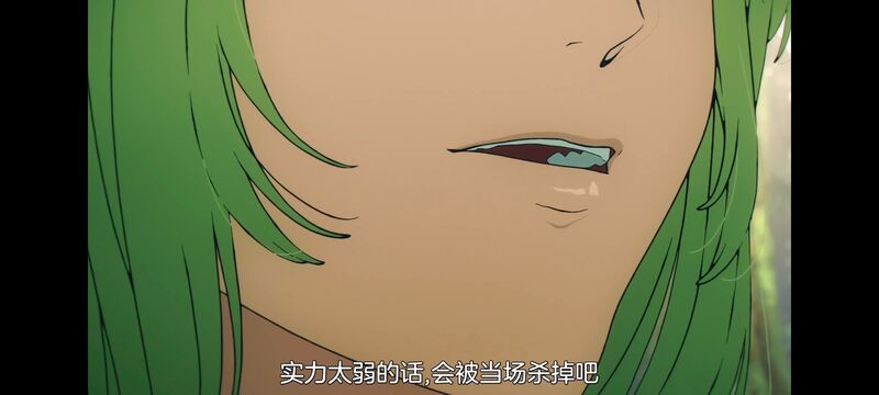 命运奇异赝品,FatestrangeFake,动画,动漫,番剧,ACG