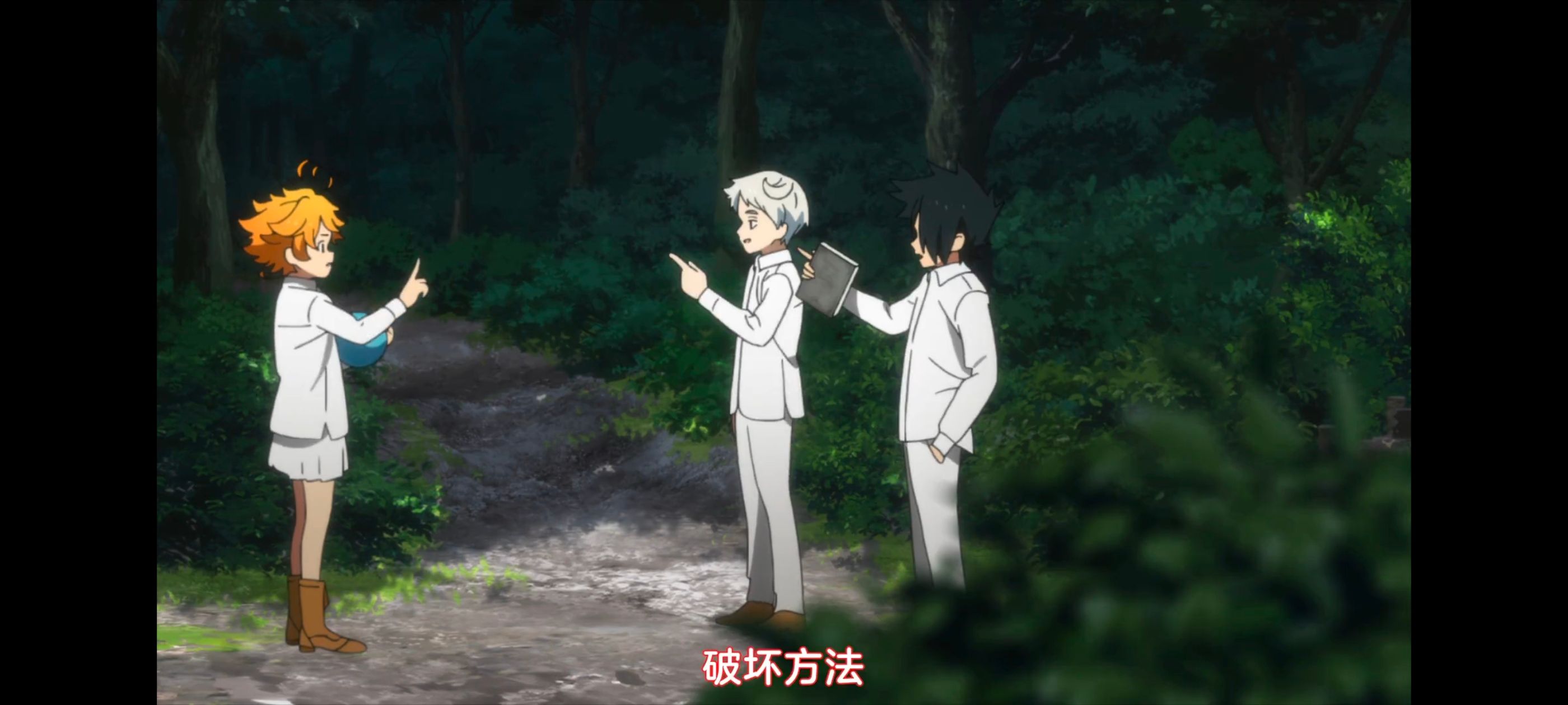 约定的梦幻岛,动画,动漫,番剧,ACG