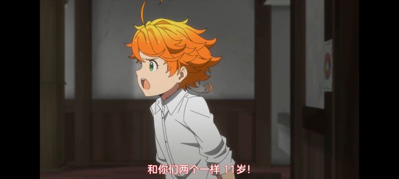 约定的梦幻岛,动画,动漫,番剧,ACG