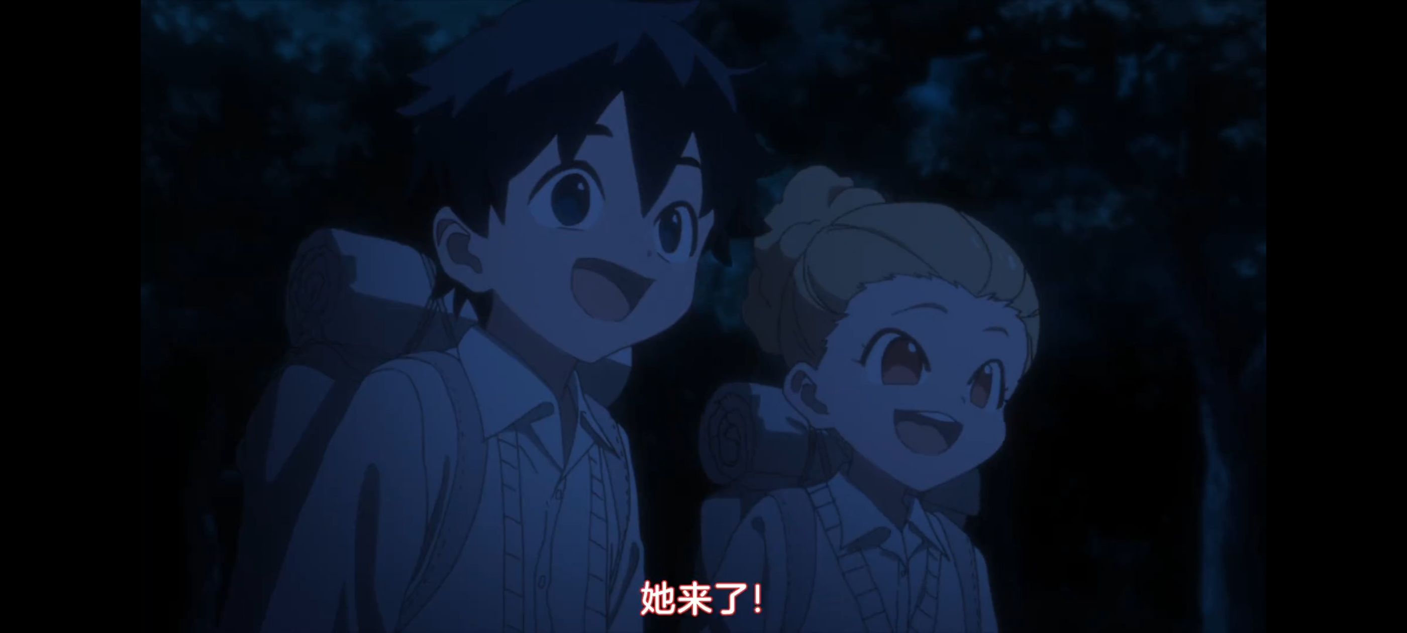 约定的梦幻岛,动画,动漫,番剧,二次元,ACG