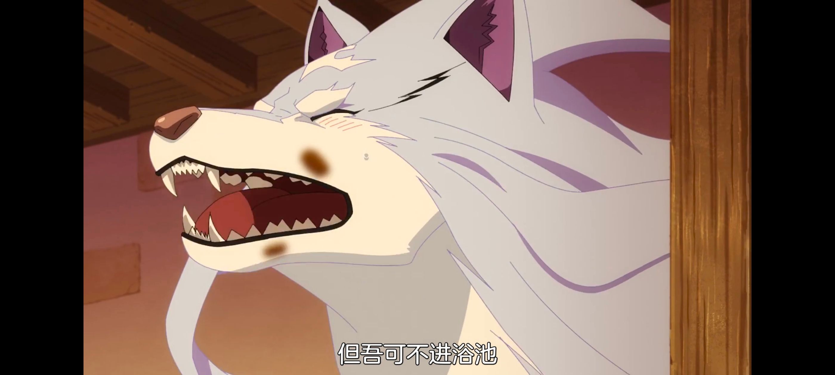 网购技能开启异世界美食之旅,拥有超常技能的异世界流浪美食家,动画,动漫,番剧,ACG