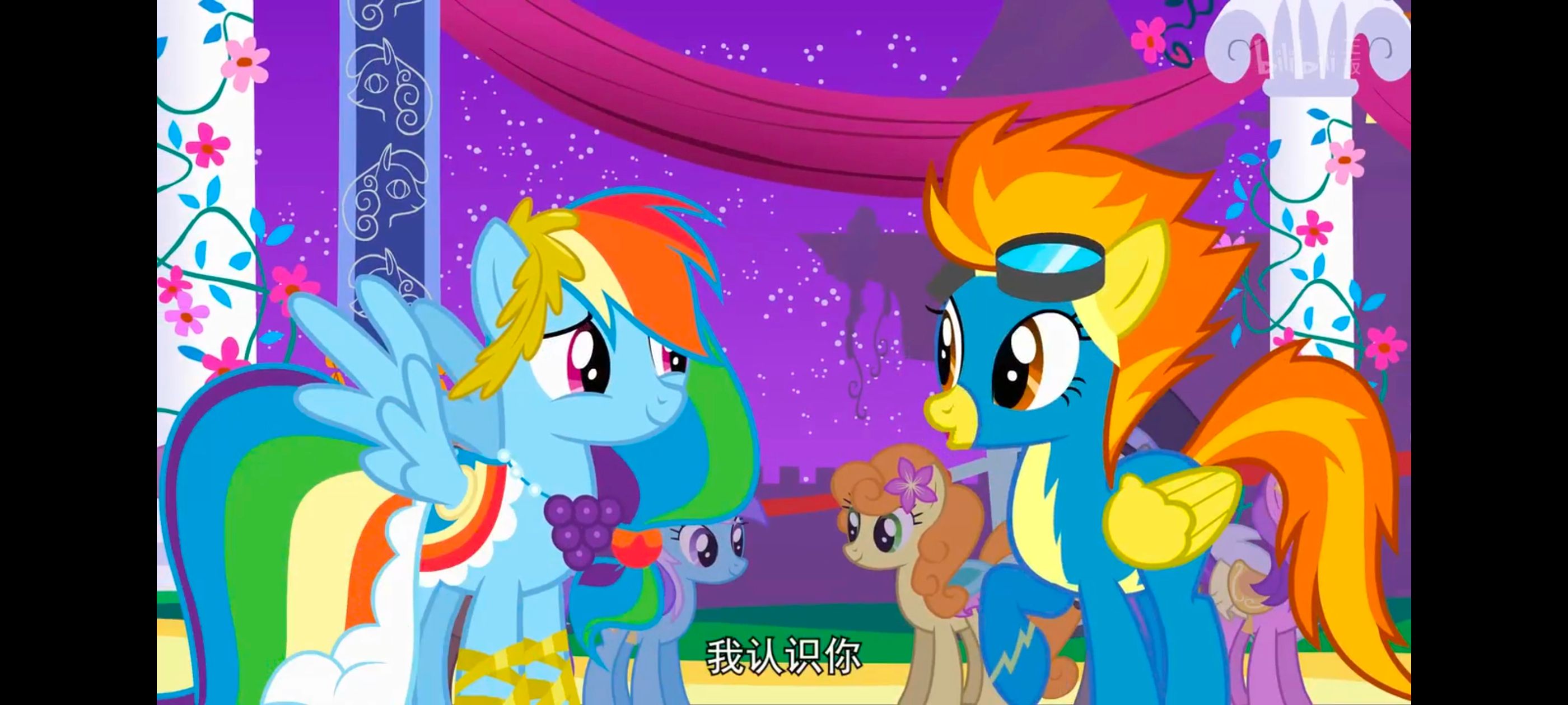 小马宝莉,小马宝莉友谊魔法,彩虹小马,我的小马驹,动画,动漫,番剧,ACG