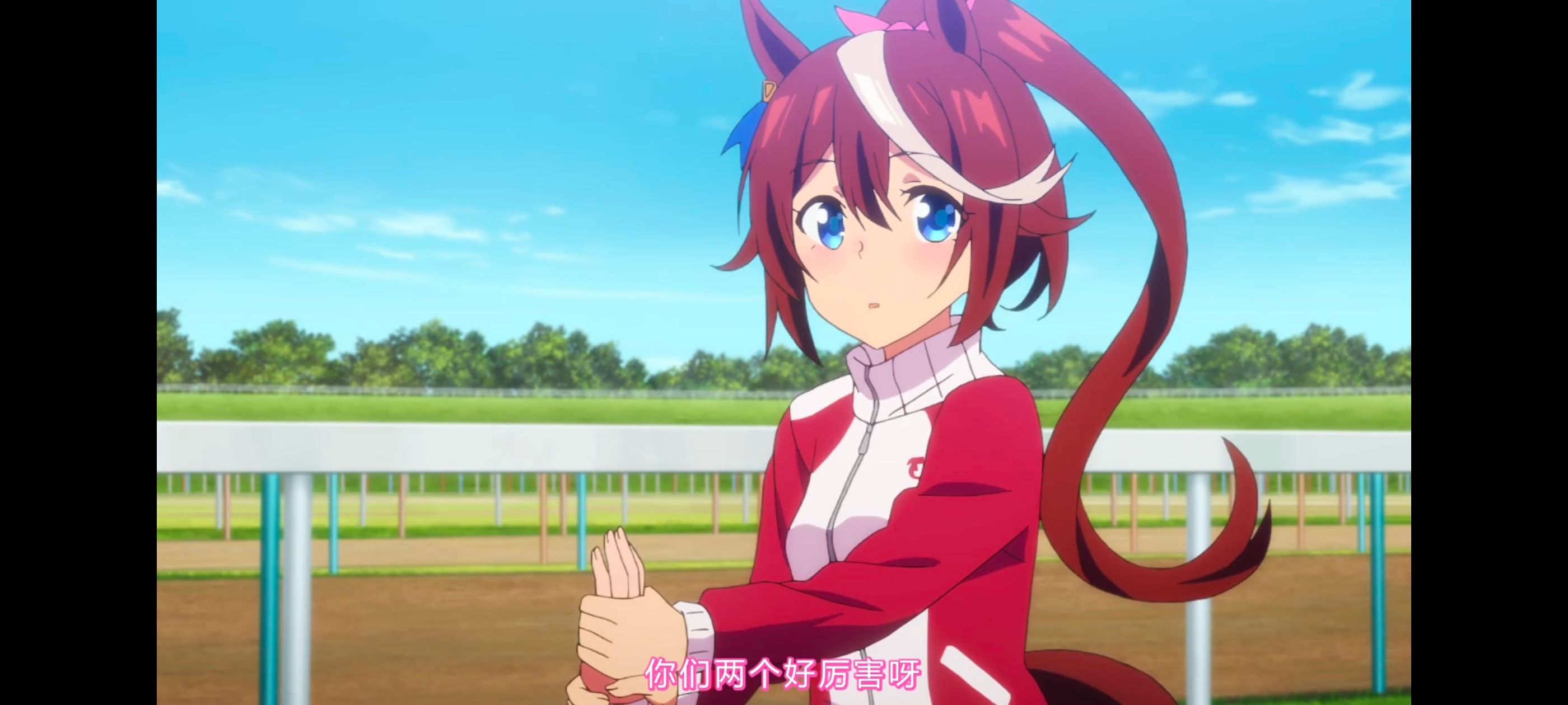 赛马娘,赛马娘PrettyDreby,赛马娘第二季,动画,动漫,番剧,ACG