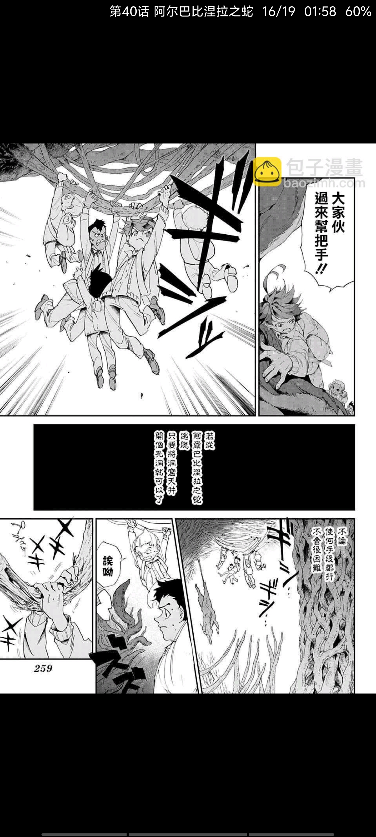 约定的梦幻岛,漫画,动漫,ACG