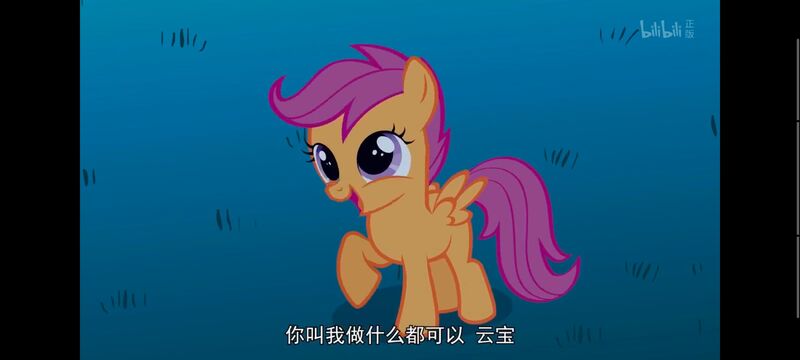 小马宝莉,彩虹小马,我的小马驹,动画,动漫,番剧,ACG,小马宝莉友谊魔法