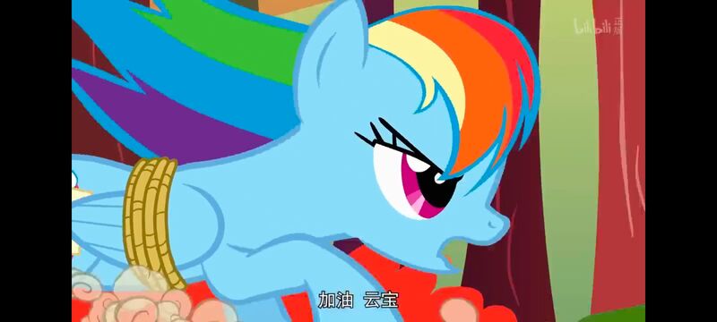 小马宝莉,小马宝莉友谊魔法,彩虹小马,我的小马驹,动画,动漫,番剧,ACG