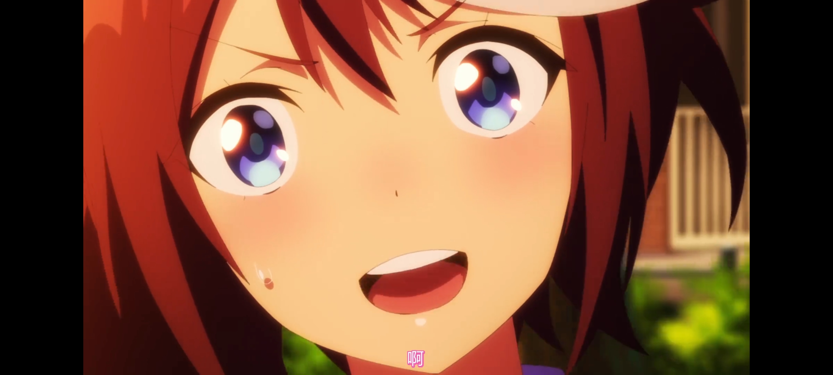 赛马娘,赛马娘第二季,动画,动漫,番剧,二次元,ACG