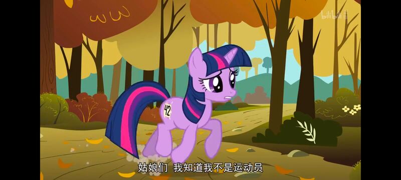 小马宝莉,小马宝莉友谊魔法,彩虹小马,我的小马驹,动画,动漫,番剧,ACG