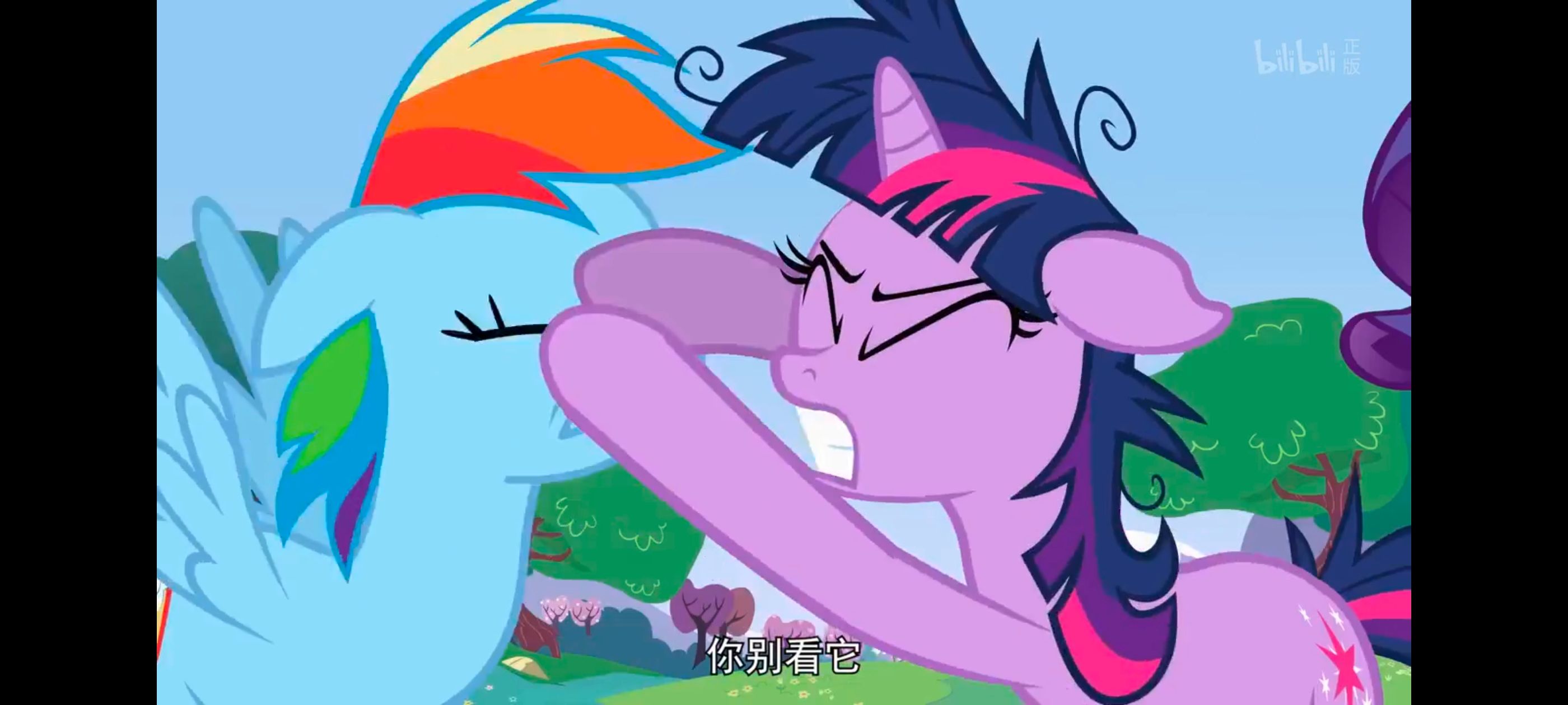 小马宝莉,小马宝莉友谊魔法,彩虹小马,我的小马驹,动画,动漫,番剧,ACG