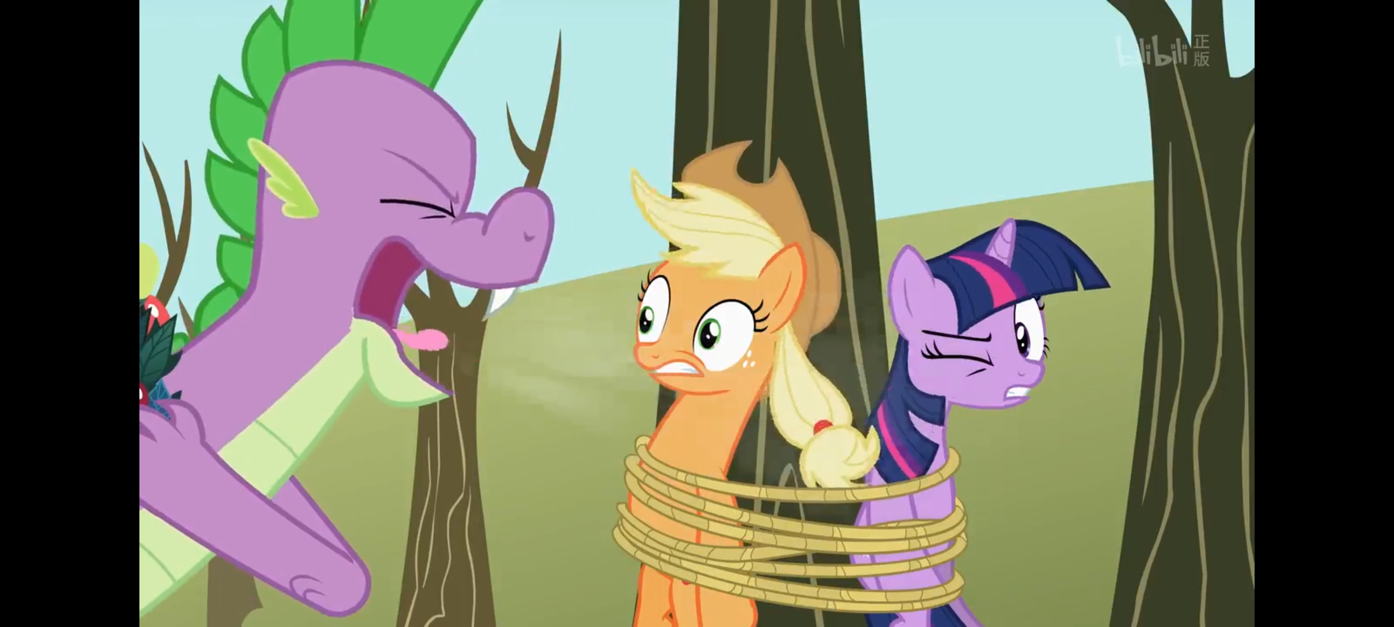 小马宝莉,彩虹小马,我的小马驹,动画,动漫,番剧,二次元,ACG