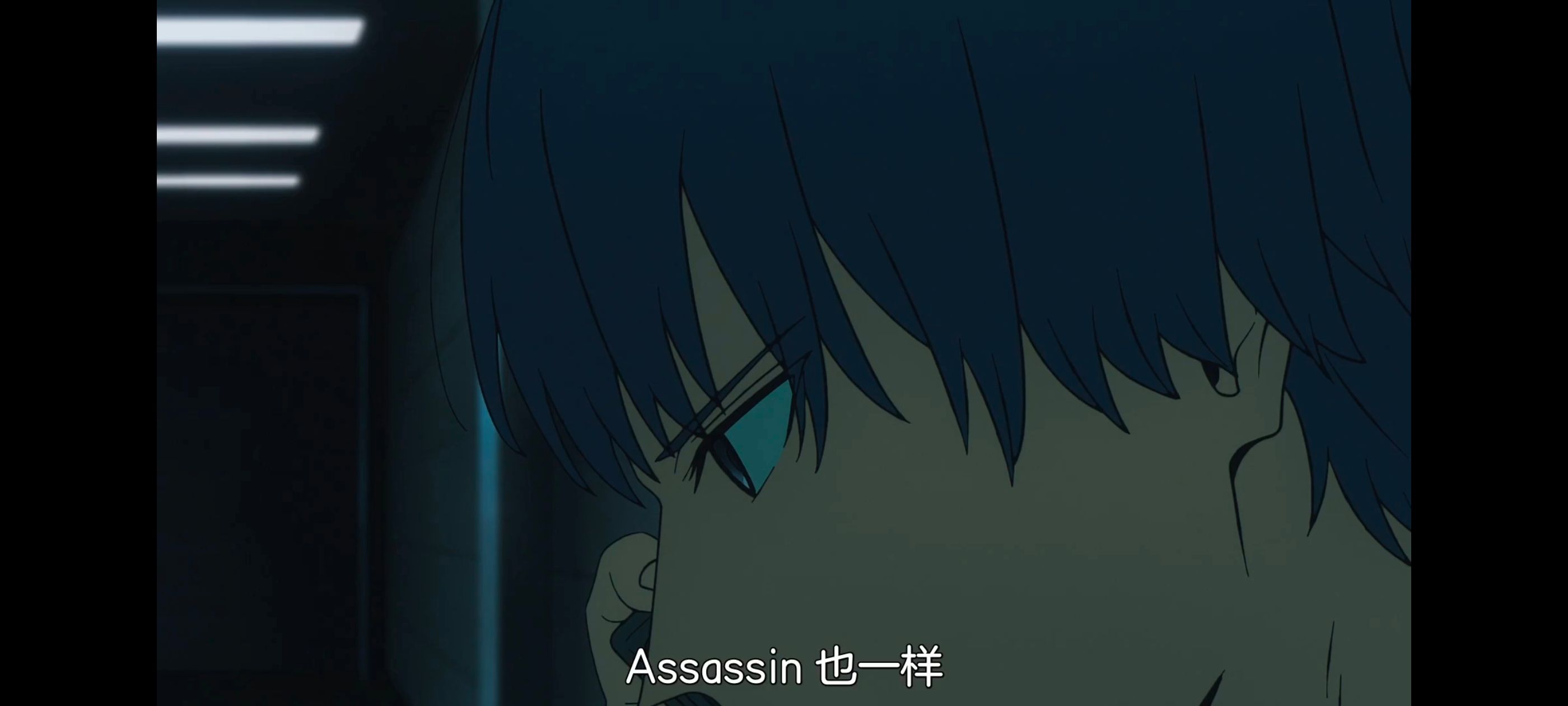 FATE,命运奇异赝品,FatestrangeFake,动画,动漫,番剧,ACG