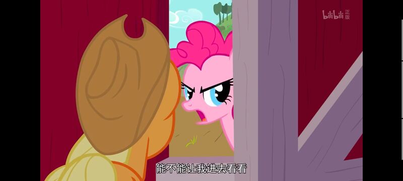 小马宝莉,小马宝莉友谊魔法,彩虹小马,我的小马驹,动画,动漫,番剧,ACG