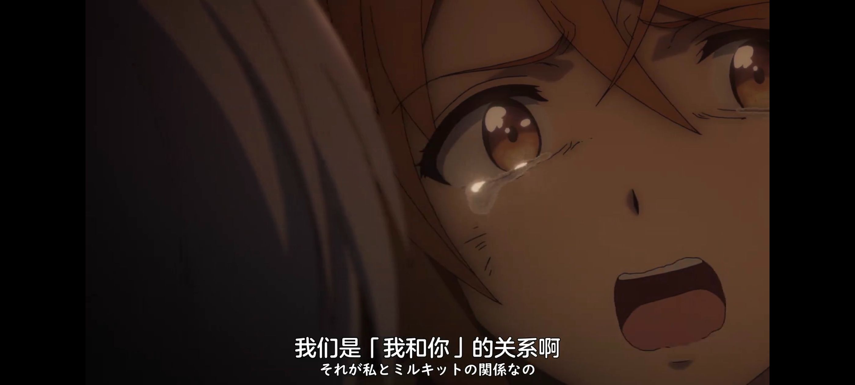 凭你也想讨伐魔王,动画,动漫,番剧,ACG