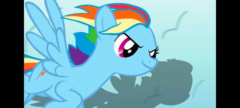 小马宝莉,小马宝莉友谊魔法,彩虹小马,我的小马驹,动画,动漫,番剧,ACG