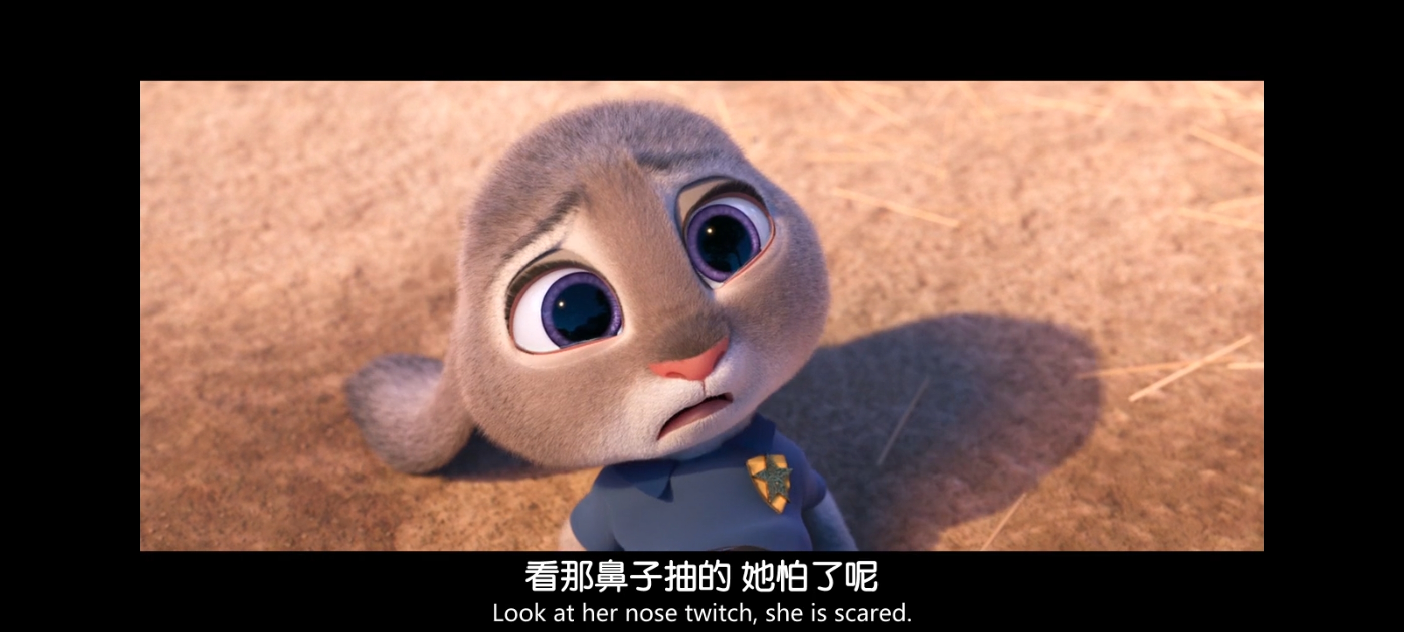 疯狂动物城,动画电影,动漫,动画,电影,二次元,ACG