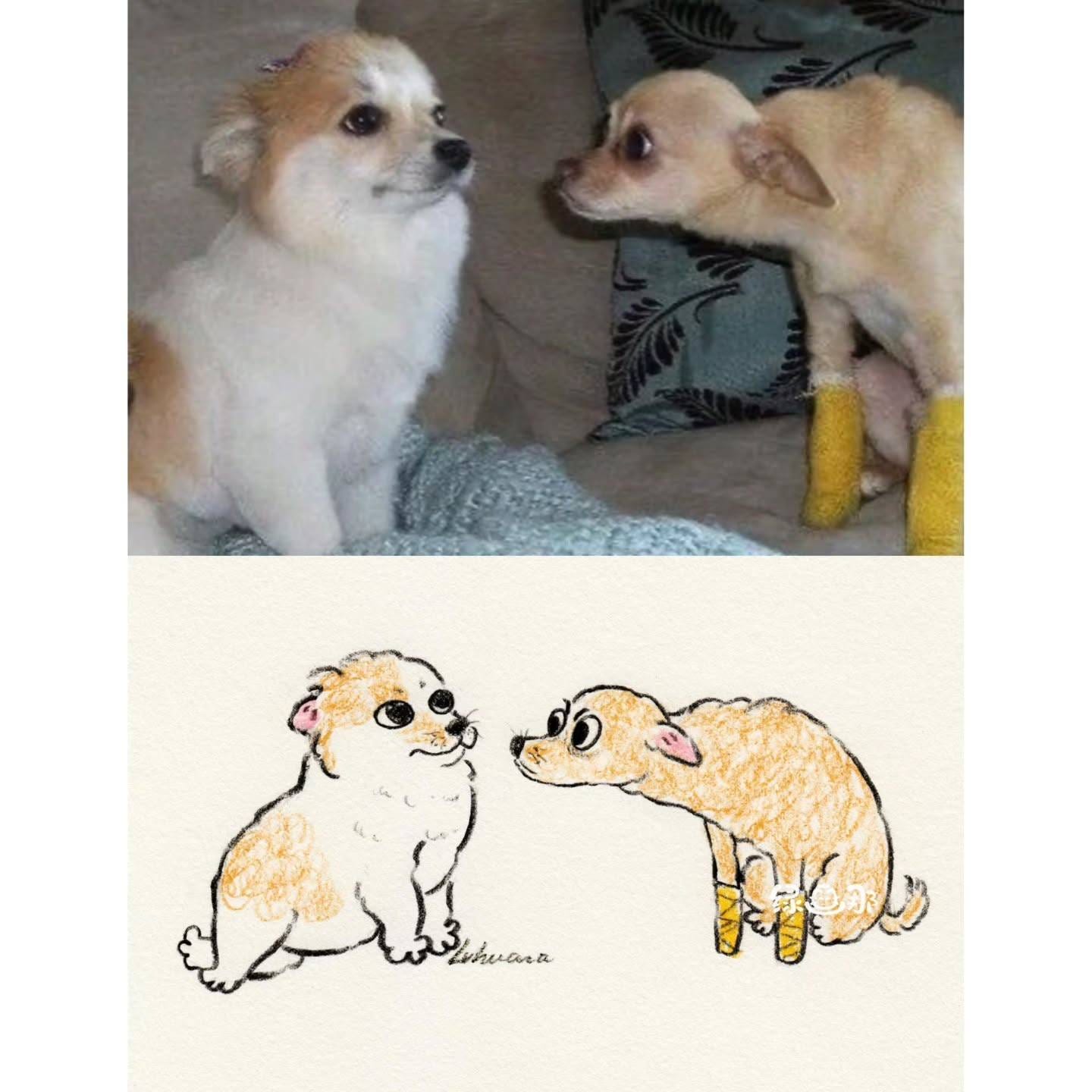 绿画那,插画,猫猫,可爱