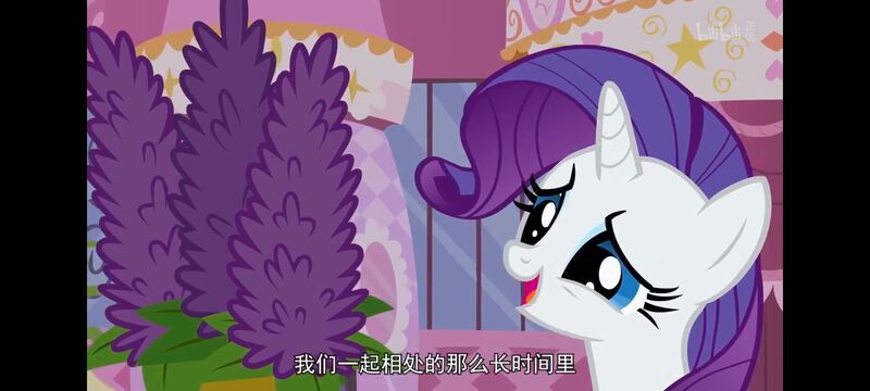 小马宝莉,小马宝莉友谊魔法,彩虹小马,我的小马驹,动画,动漫,番剧,ACG